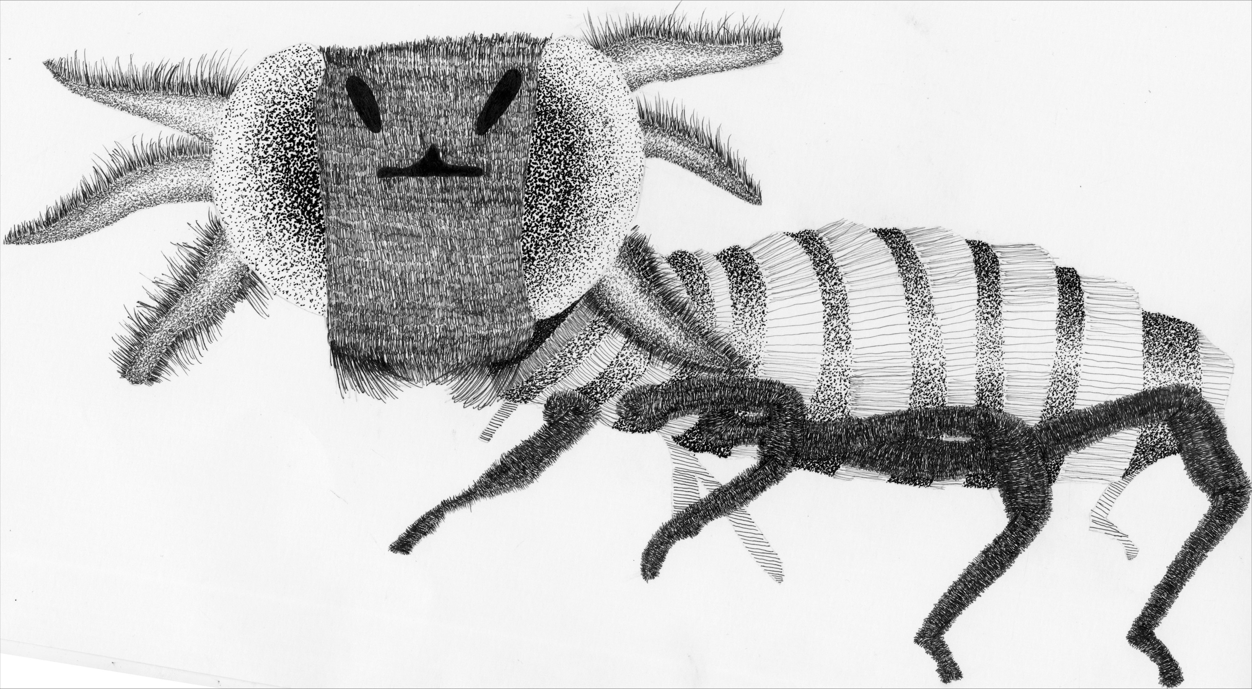 Preview of a Micron collection