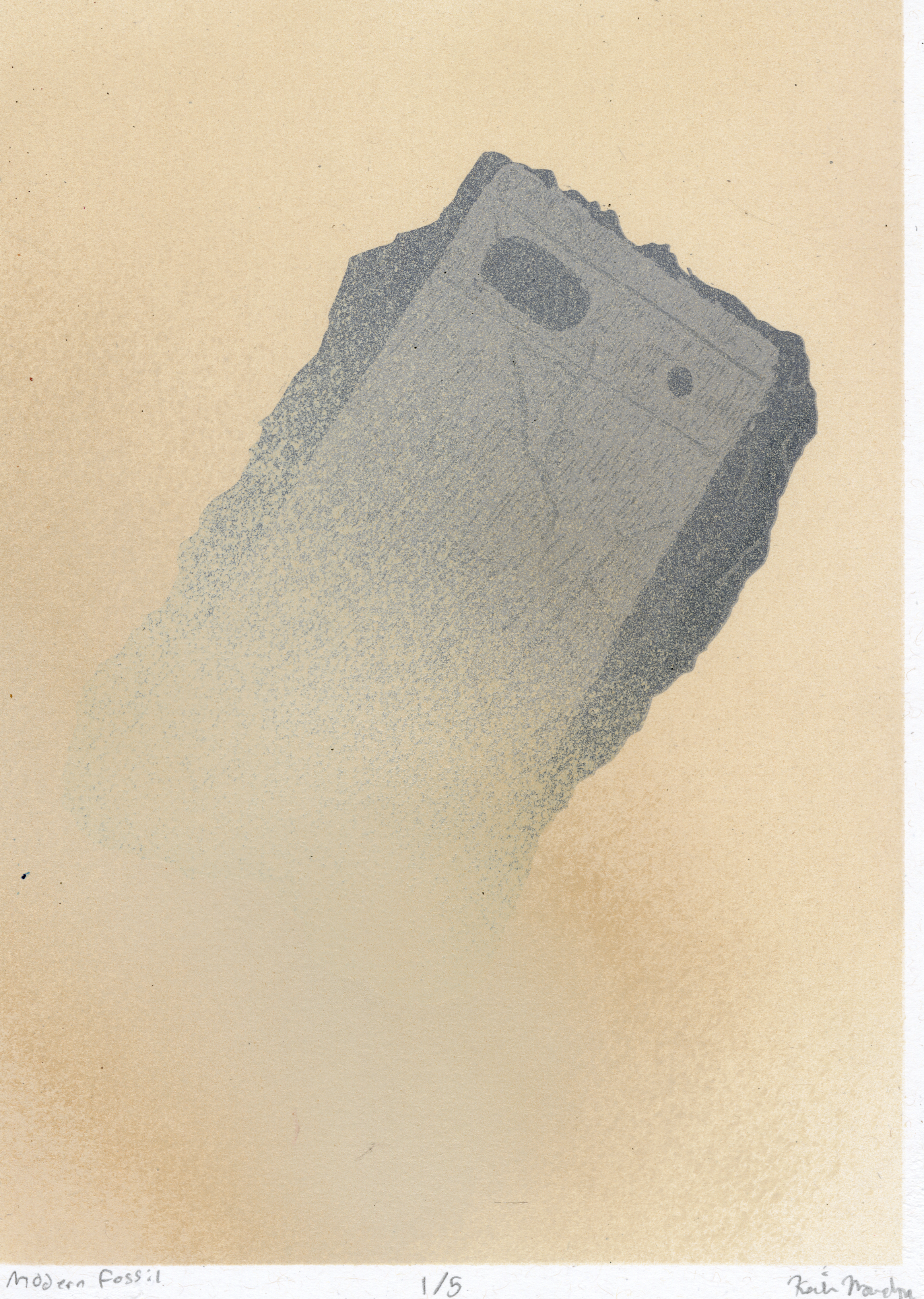 Preview of the Modern Fossil Collection